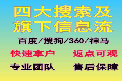 实战解析：SEM网络推广成功案例分享